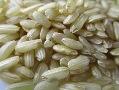 糙米白米gi比較