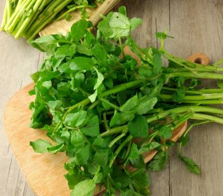 西洋菜營養價值