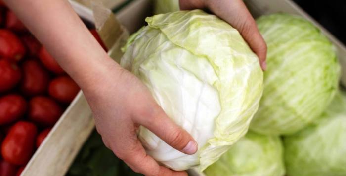 高麗菜冷凍保存