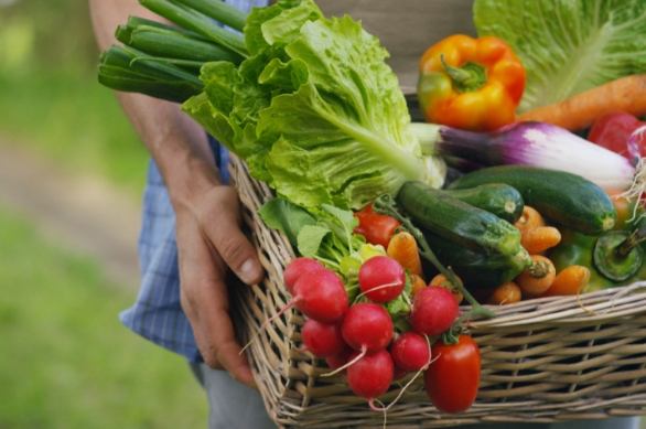有機蔬菜 安全嗎
