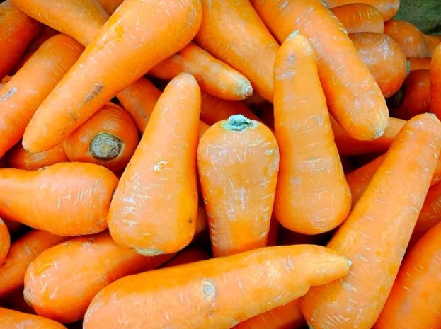 紅蘿蔔營養吸收