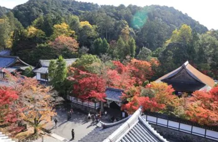 南禪寺周邊景點