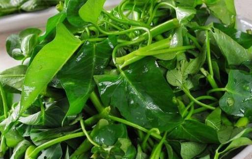 冷冻空心菜保存