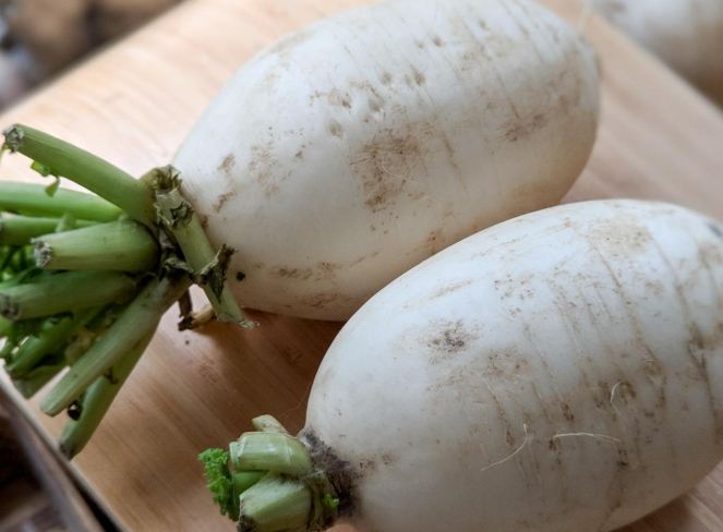 白蘿蔔纖維好處