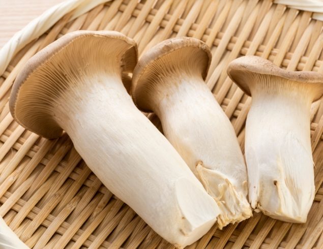 杏鮑菇食用禁忌