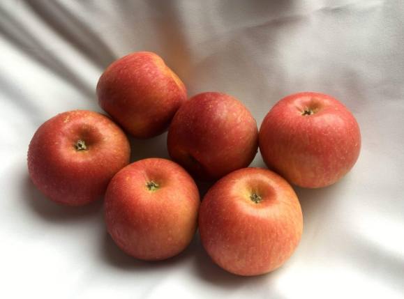 蘋果對氣喘的影響