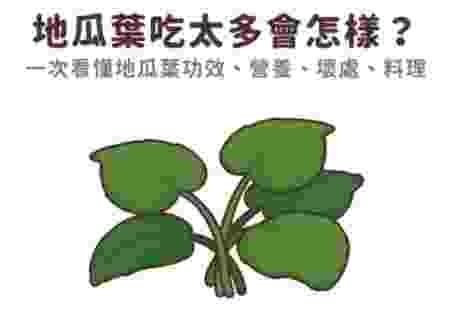 地瓜葉禁忌食物