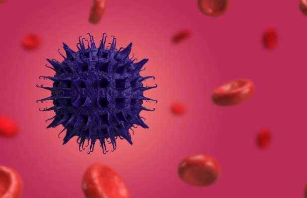 諾羅病毒傳播途徑