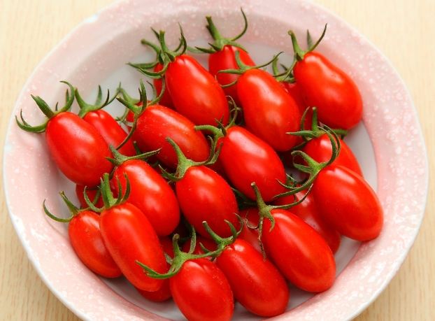 橘色番茄 紅色番茄 比較