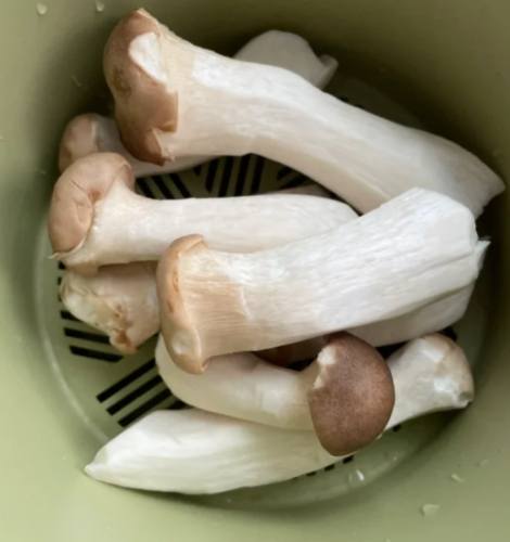 杏鮑菇保存時間