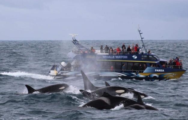 新西兰南岛必去景点