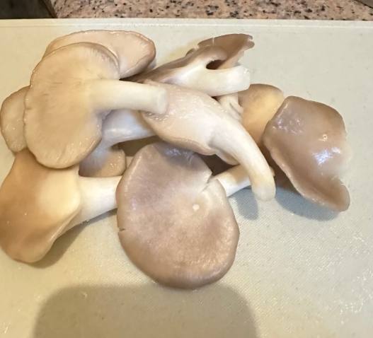 秀珍菇保存方法