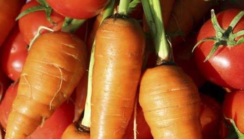 番茄紅蘿蔔禁忌