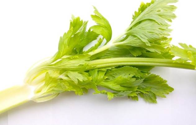芹菜副作用