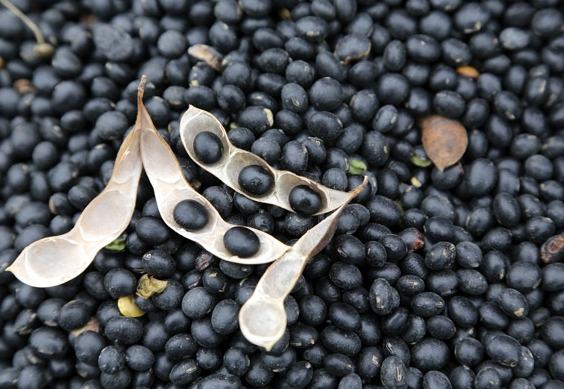 生理期飲食禁忌