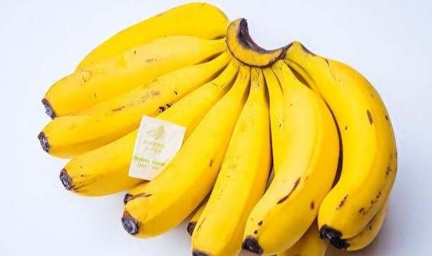 香蕉對脂肪肝的好處