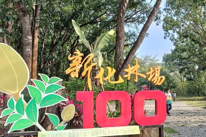 台南新化老街攻略