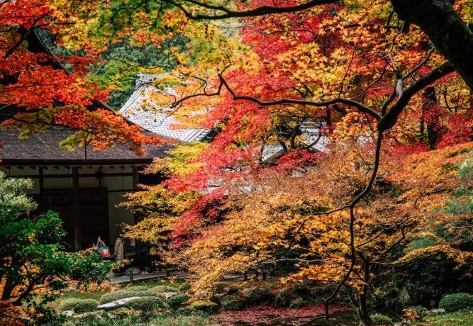 京都南禪寺餐廳