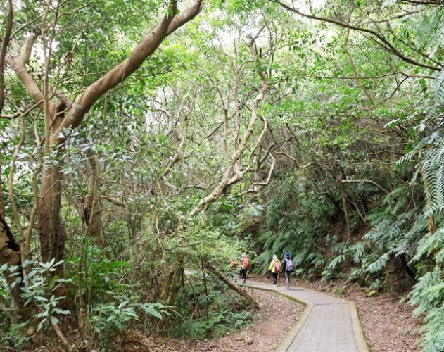 翠山步道怎麼去