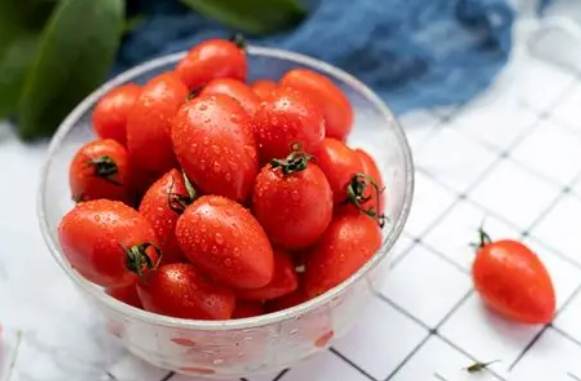 运动后饮食小番茄