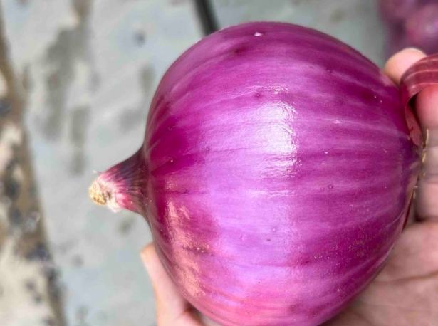 高鉀食物排行榜