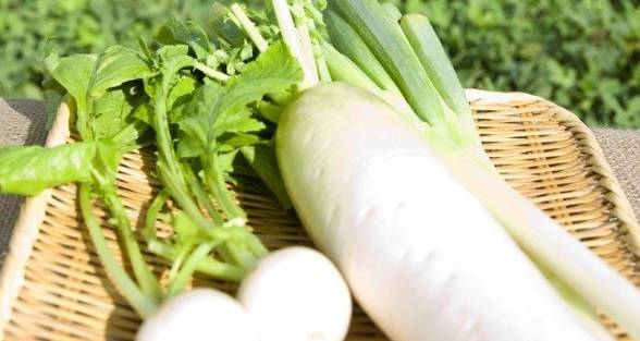 白蘿蔔搭配禁忌