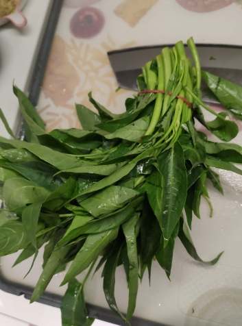 空心菜冷冻方法