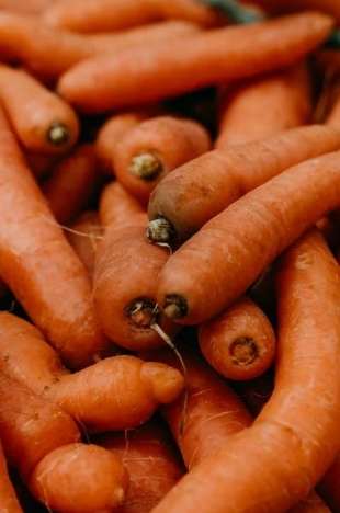 紅蘿蔔白蘿蔔一起吃壞處