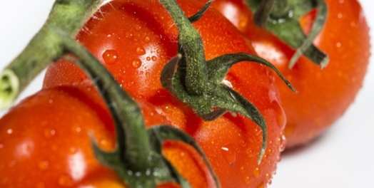 未成熟番茄食用