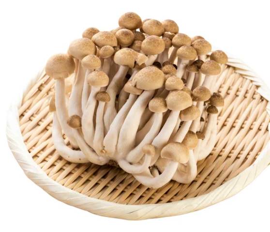 鴻禧菇冷凍後變化