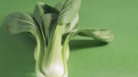 青江菜食用禁忌