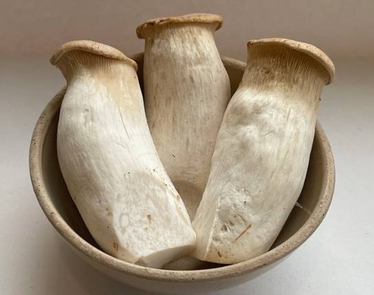 杏鮑菇保鮮方法