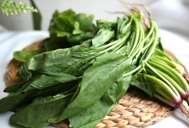 青江菜草酸含量