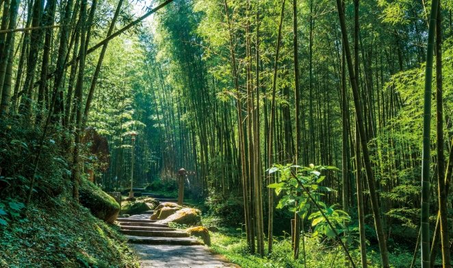 南投小溪頭旅遊