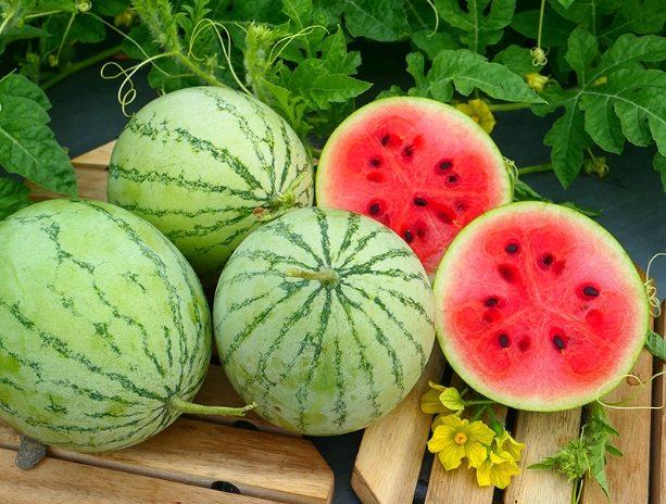 生理期水果禁忌