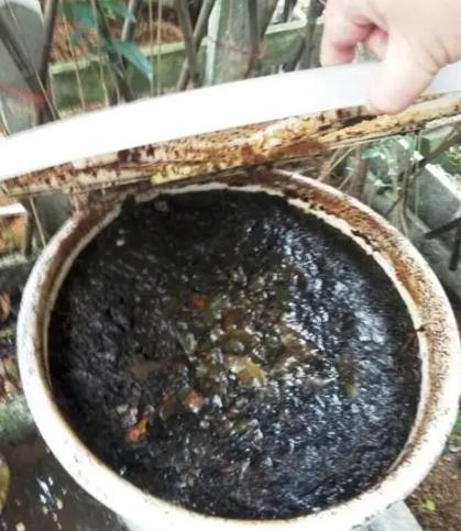 自製有機肥料方法