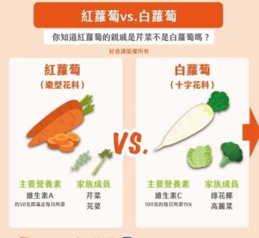 紅蘿蔔白蘿蔔一起吃壞處