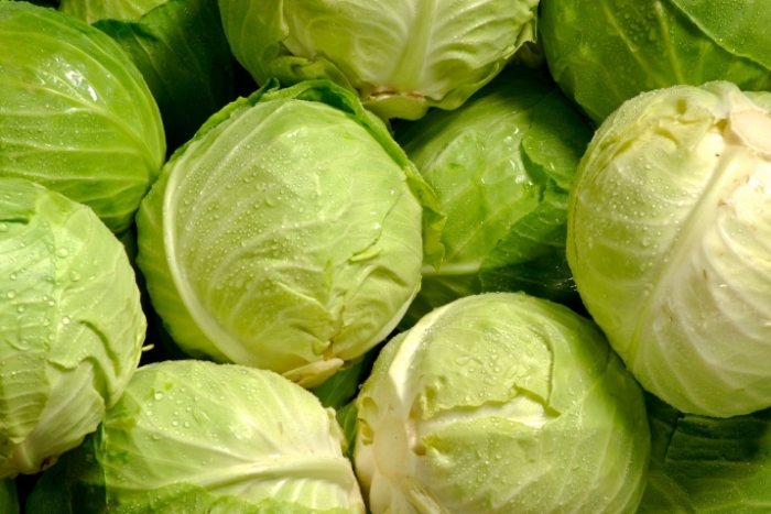 冷凍高麗菜方法