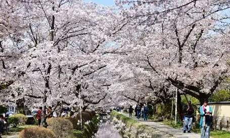 京都南禪寺怎麼去
