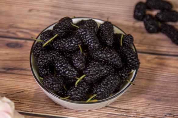 桑葚乾適合什麼人吃