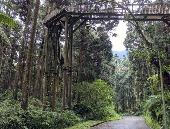 南投小溪頭旅遊