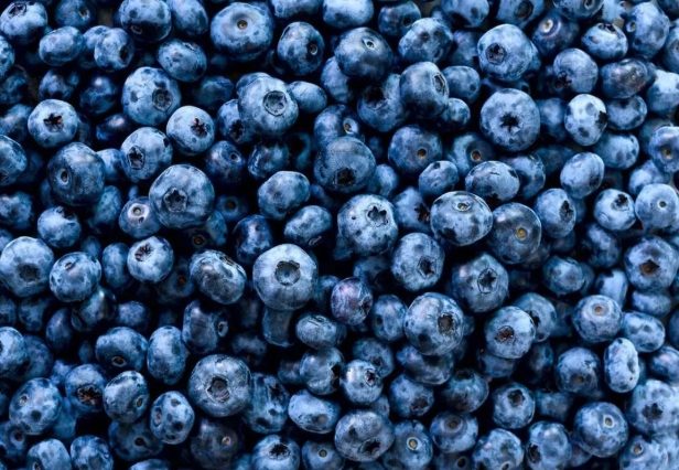 癌症治療水果飲食