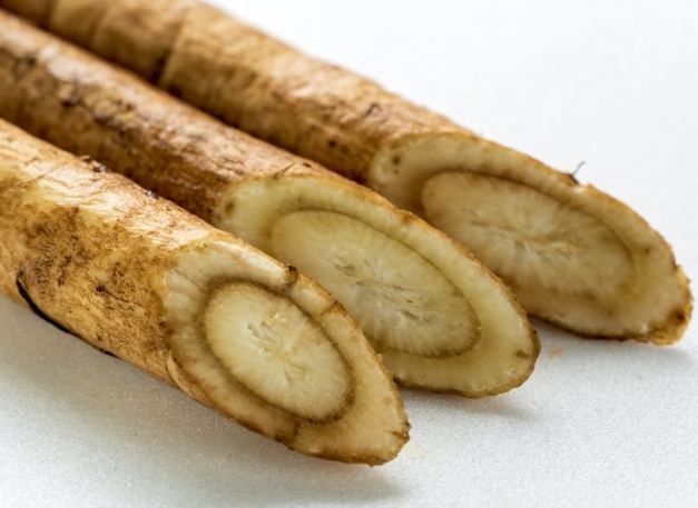 牛蒡食用注意事項