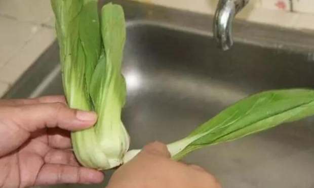 小白菜怎麼洗才乾淨