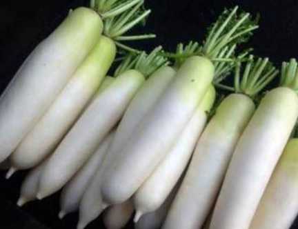 白蘿蔔食物相剋