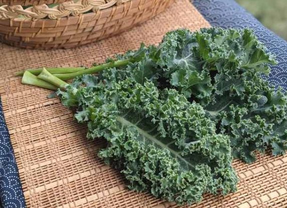 抗凝血劑禁忌食物