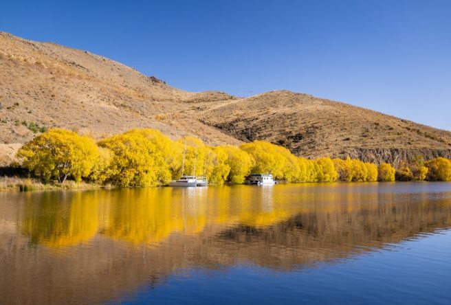 紐西蘭季節旅遊