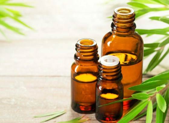 茶樹精油薰香方法
