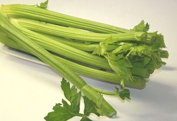 芹菜食用禁忌