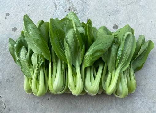 青江菜冷凍方法